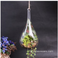 Glazen terrarium met metalen frame